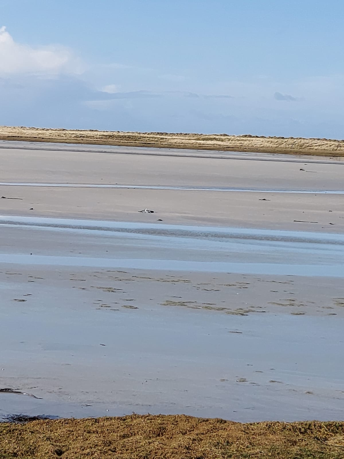 Gualan Sands, Iochdar, South Uist