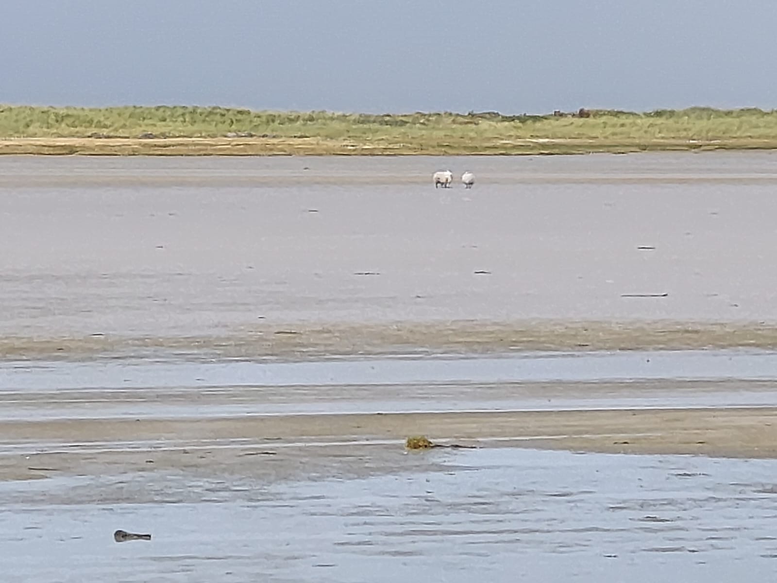 Gualan Sands, Iochdar, South Uist