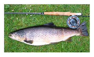 Brown trout fishing, South Uist