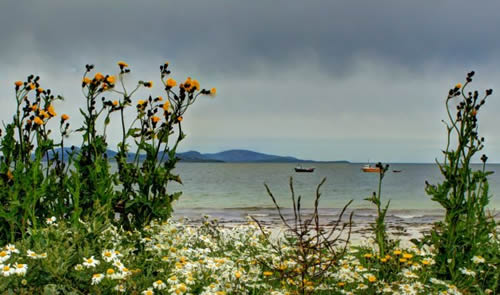 Coastal Scene, South Uist